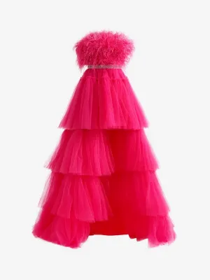 A-line High-Low Strapless Ruffled Tulle Prom Dresses with Feathers