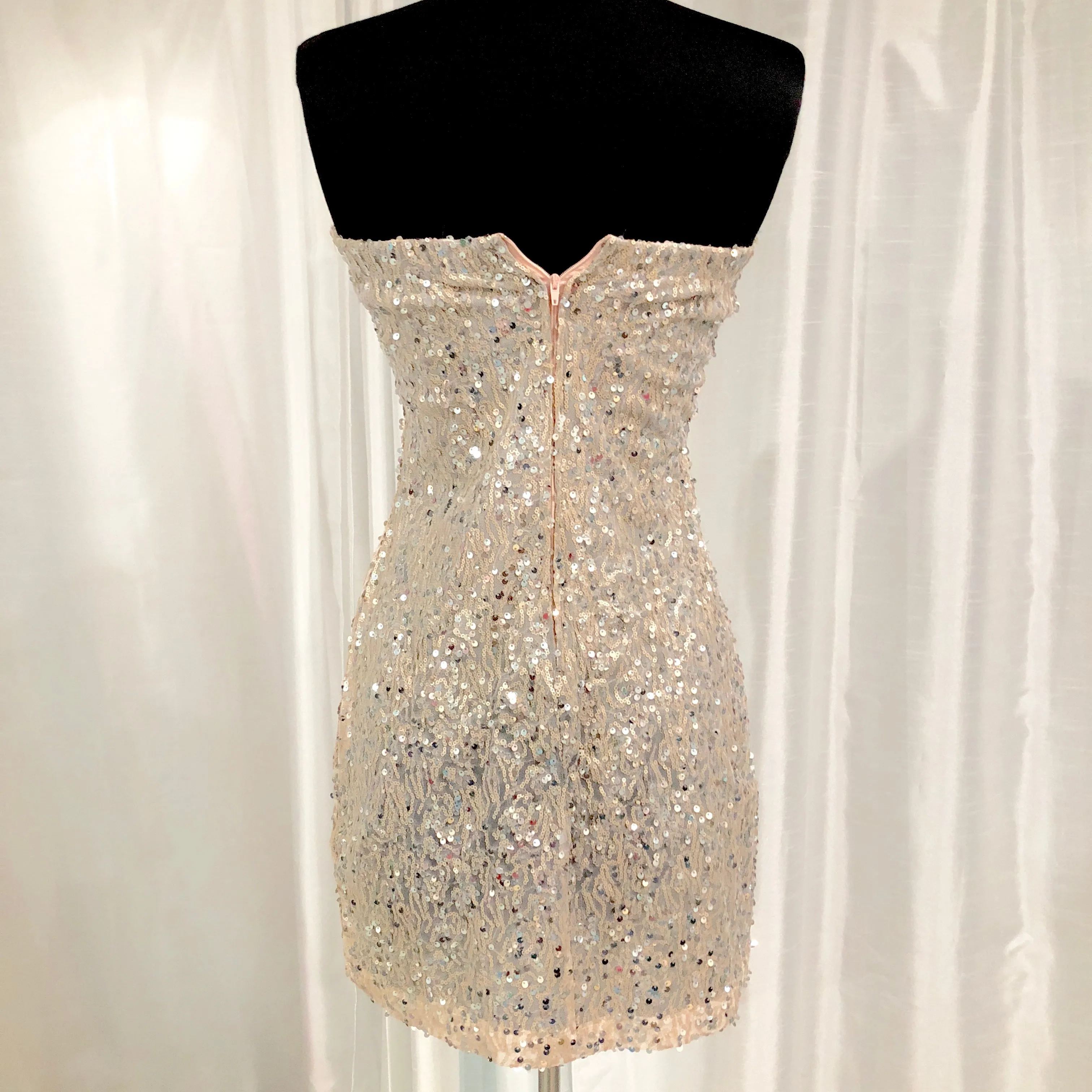 BOUTIQUE Short Blush & Silver Strapless Gown Size 7