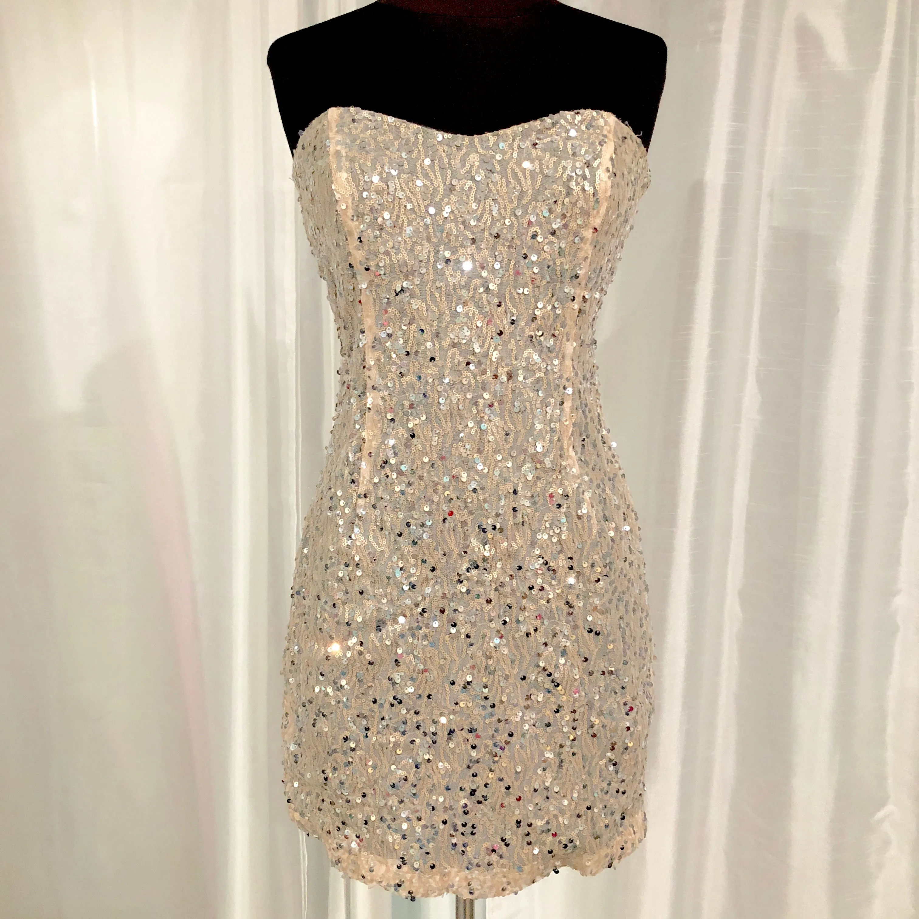 BOUTIQUE Short Blush & Silver Strapless Gown Size 7