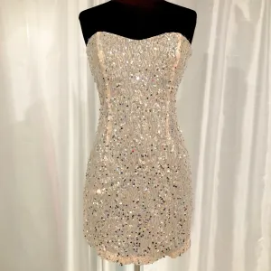 BOUTIQUE Short Blush & Silver Strapless Gown Size 7