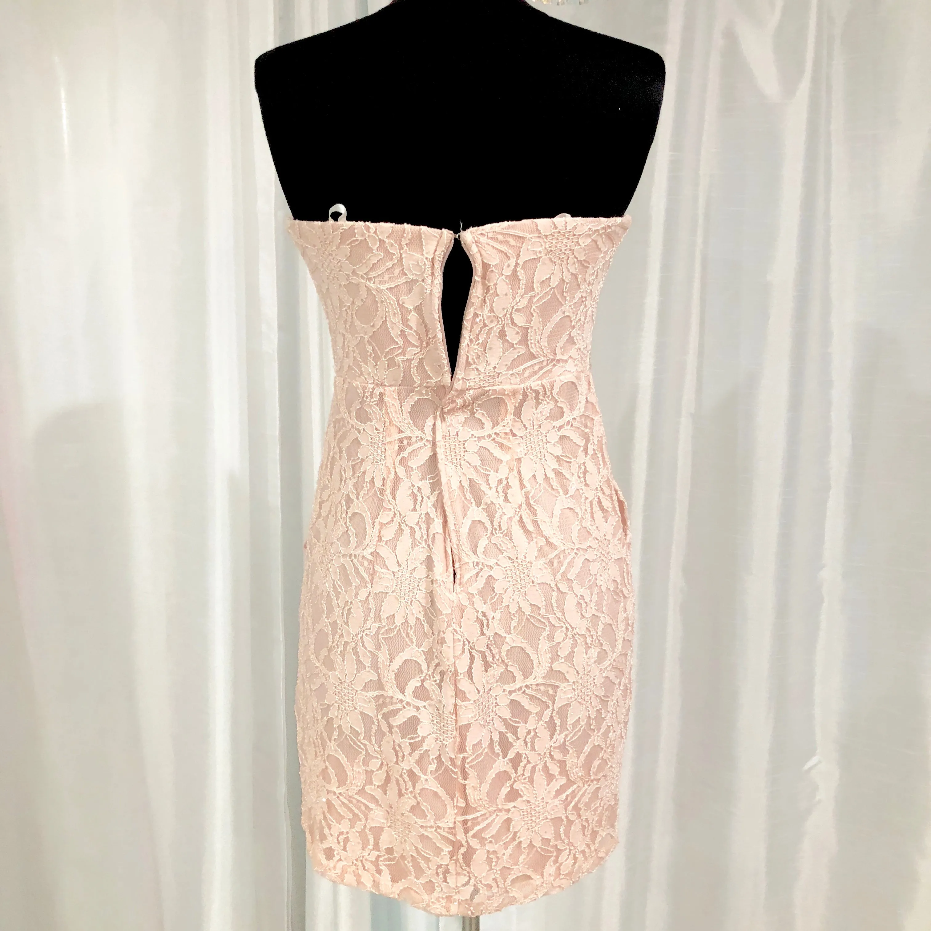 BOUTIQUE Short Blush Lace Form Fitting Gown Size 4