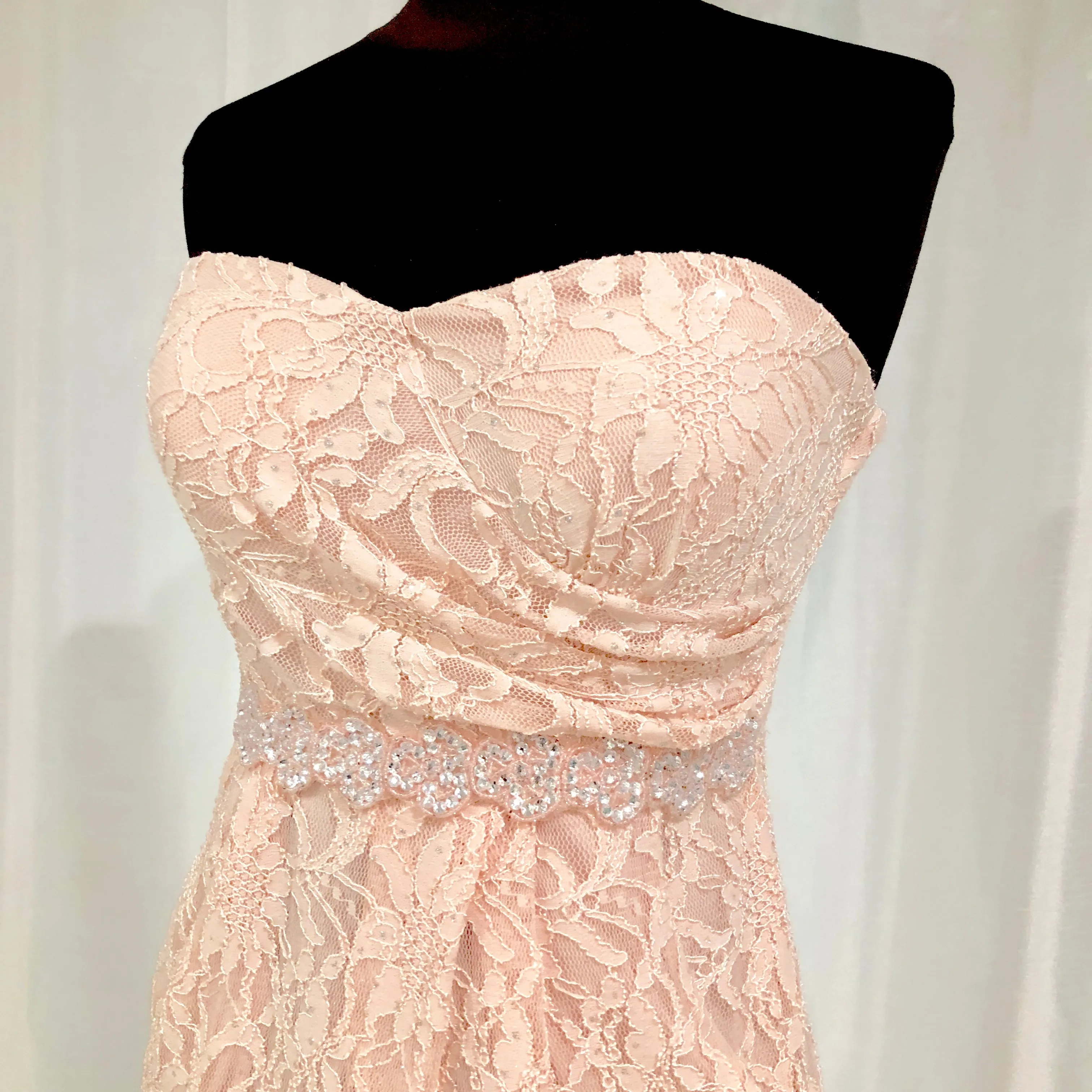 BOUTIQUE Short Blush Lace Form Fitting Gown Size 4