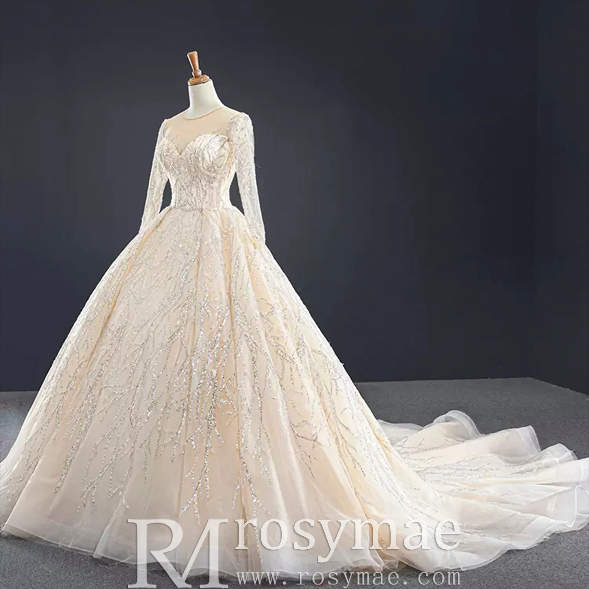 Champagne Ball Gown Tulle Sequins Long Sleeve Wedding Dress