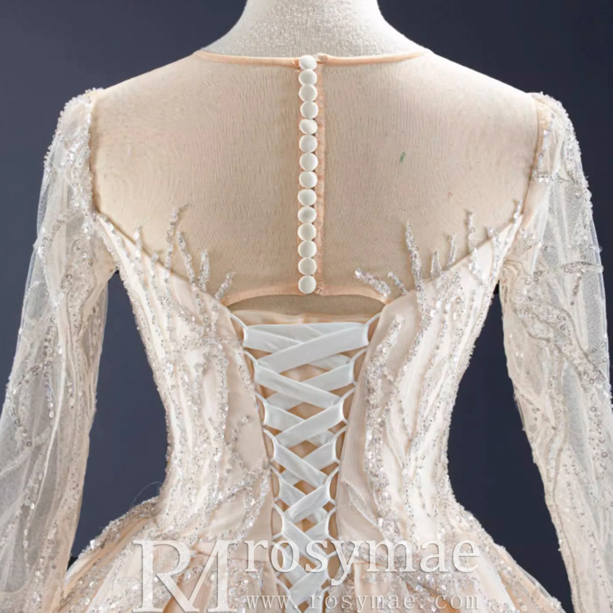 Champagne Ball Gown Tulle Sequins Long Sleeve Wedding Dress