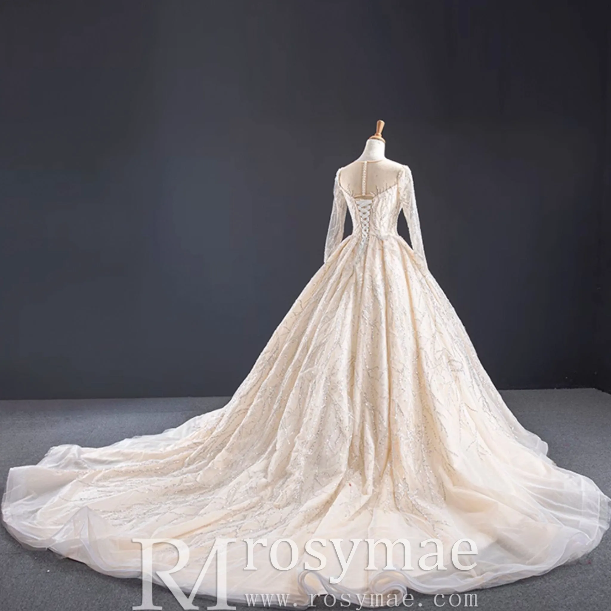 Champagne Ball Gown Tulle Sequins Long Sleeve Wedding Dress