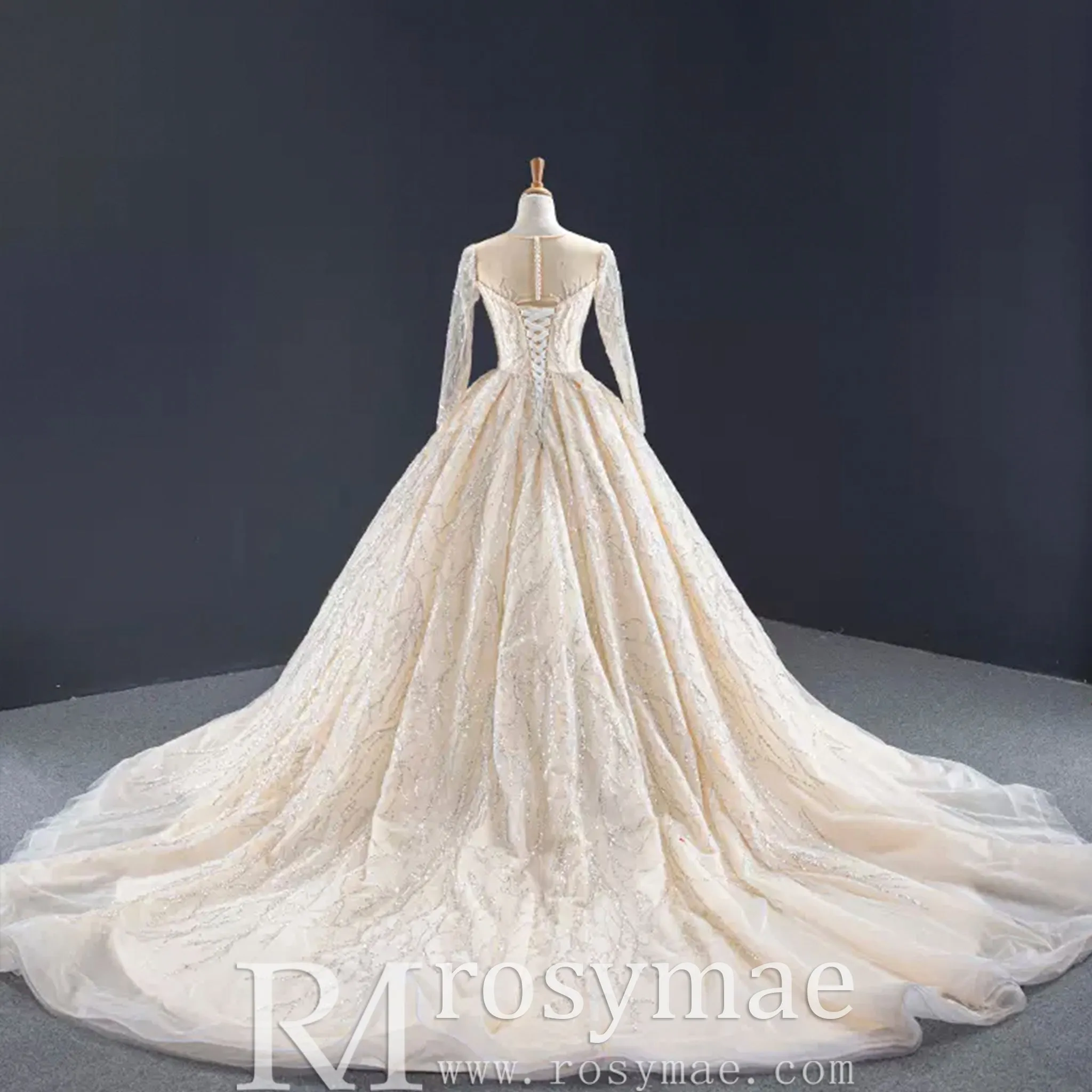 Champagne Ball Gown Tulle Sequins Long Sleeve Wedding Dress