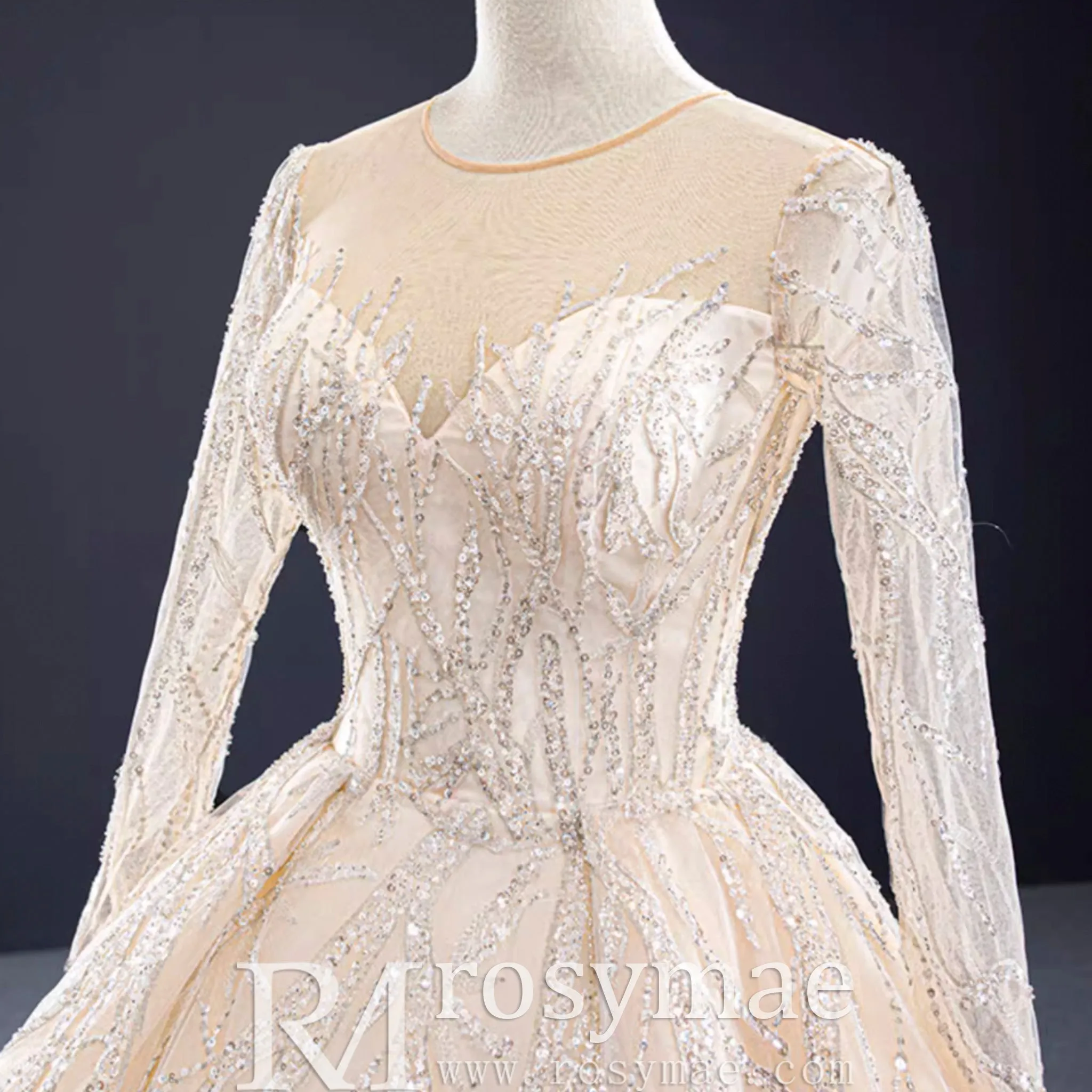 Champagne Ball Gown Tulle Sequins Long Sleeve Wedding Dress