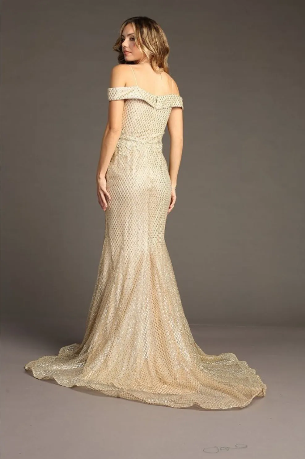 Chicas Evening Gown DM4024