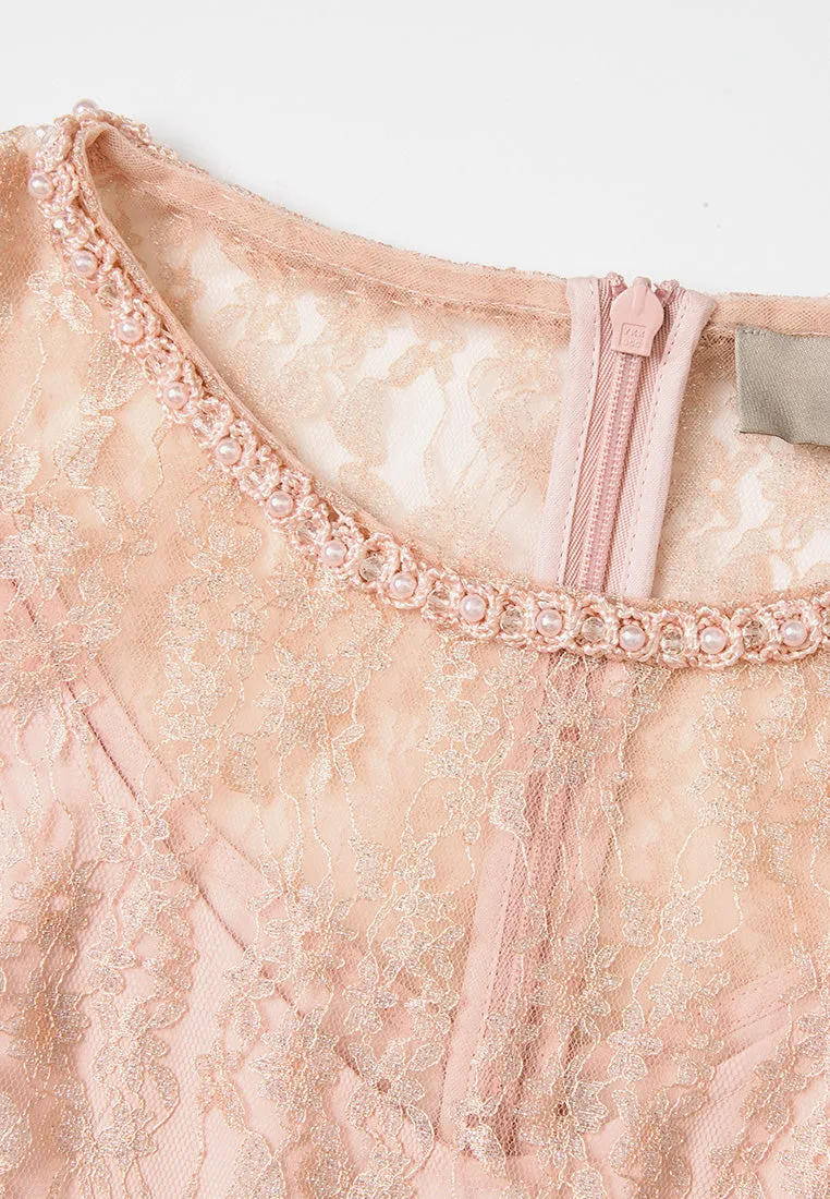 Embellished-trim Lurex Mesh Lace Dress