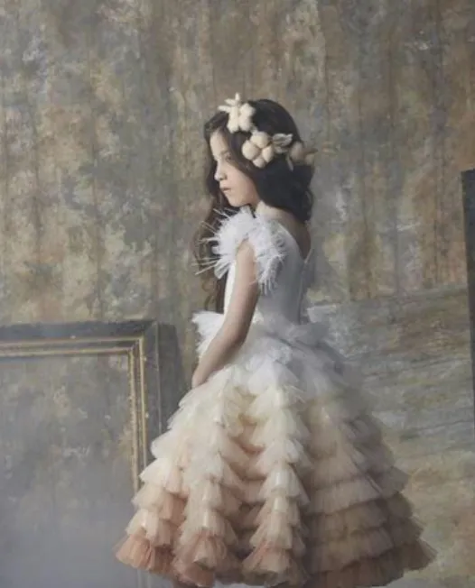Ethereal Ombre Dreams