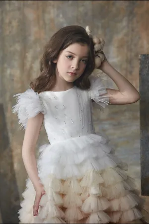 Ethereal Ombre Dreams
