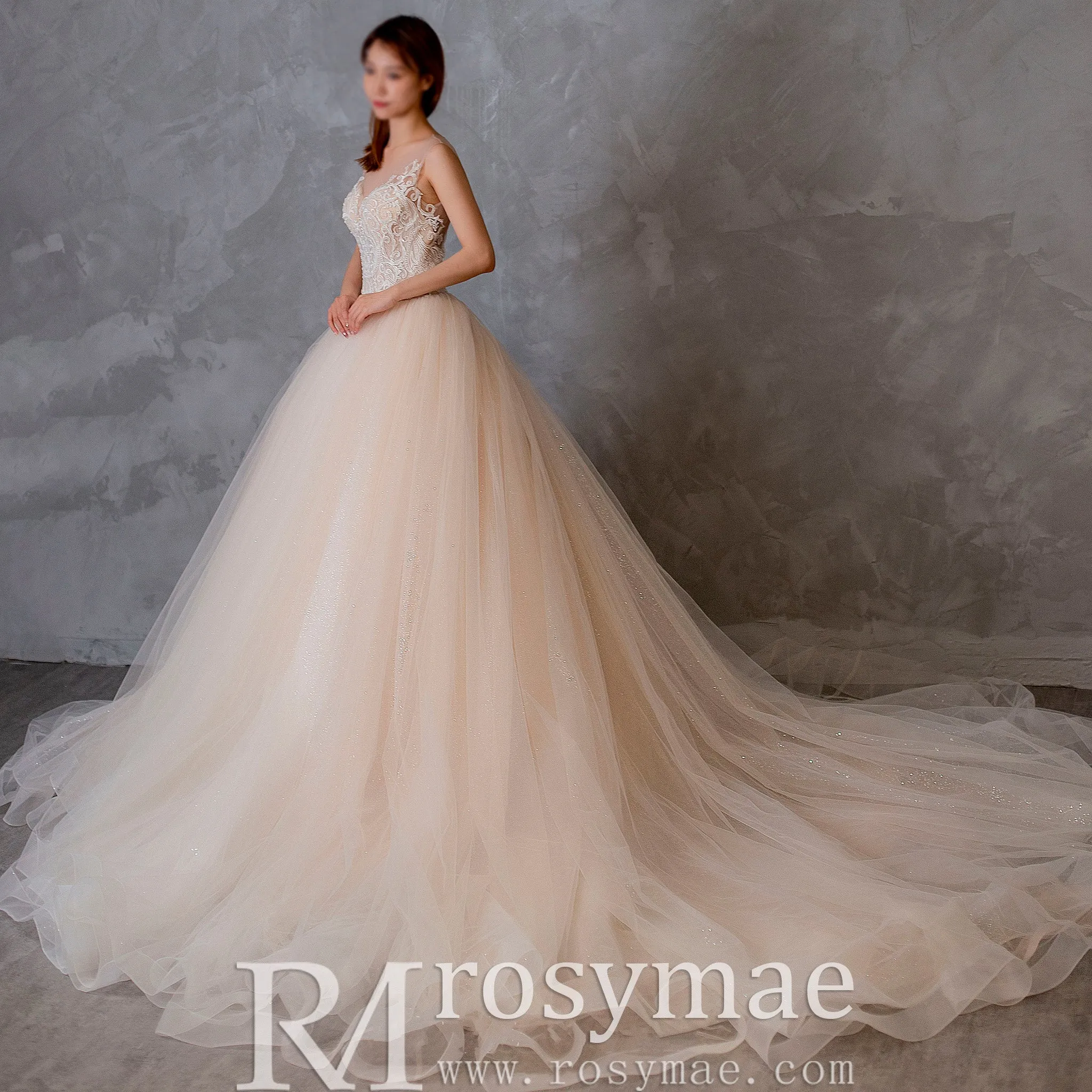 Gorgeous Ballgown V-neck Tulle Wedding Dress with Lace Appliques