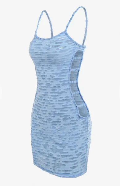 Hollow Out Semi-Sheer Bodycon Dress