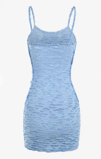 Hollow Out Semi-Sheer Bodycon Dress