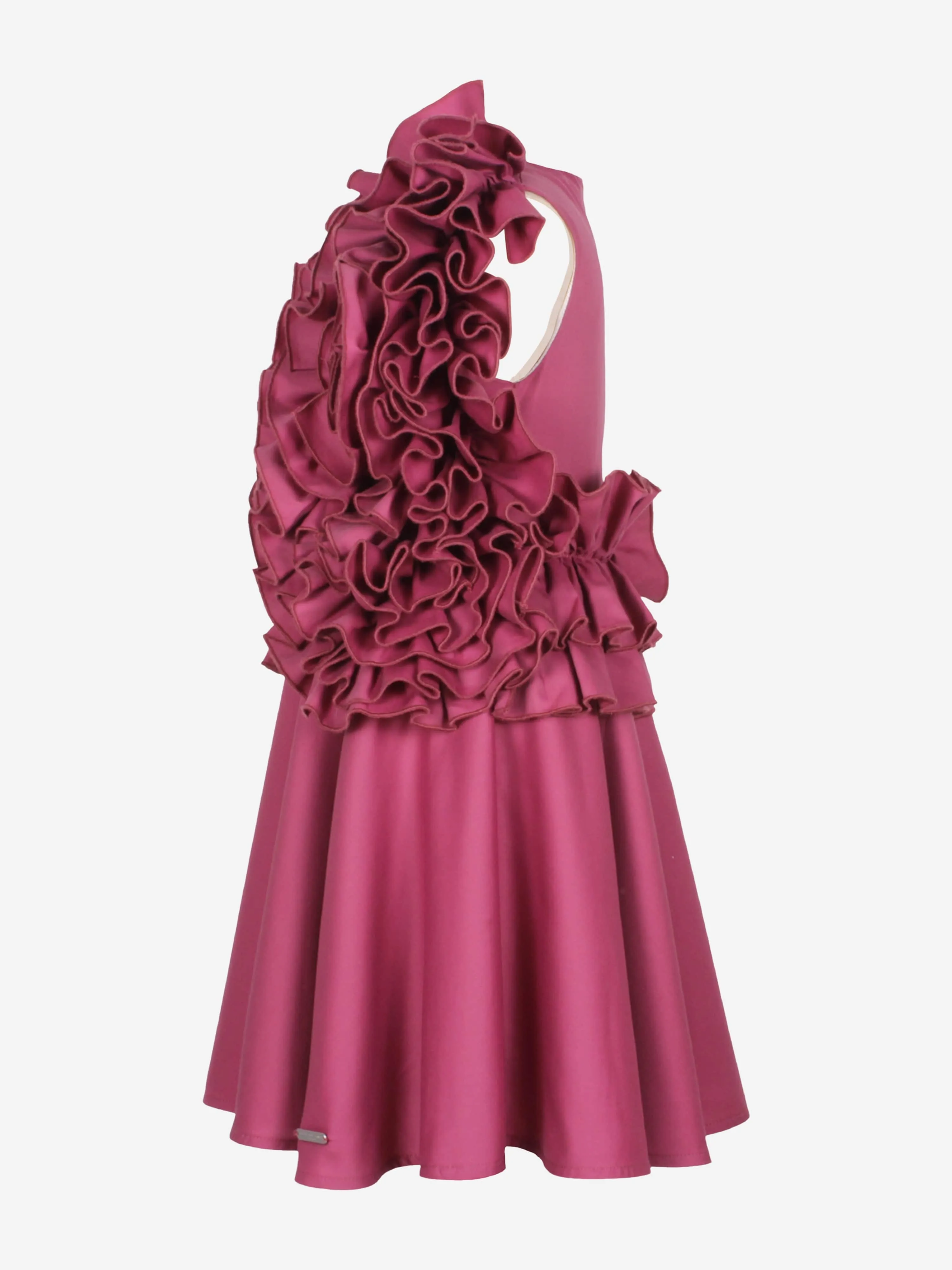 Jessie And James Girls Adage Dress in Purple