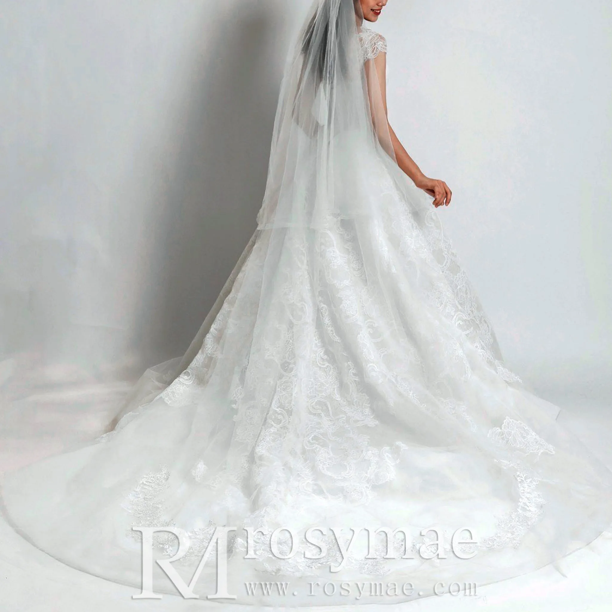 Lace Vintage Cap Sleeve Wedding Dress with Sheer Bodice