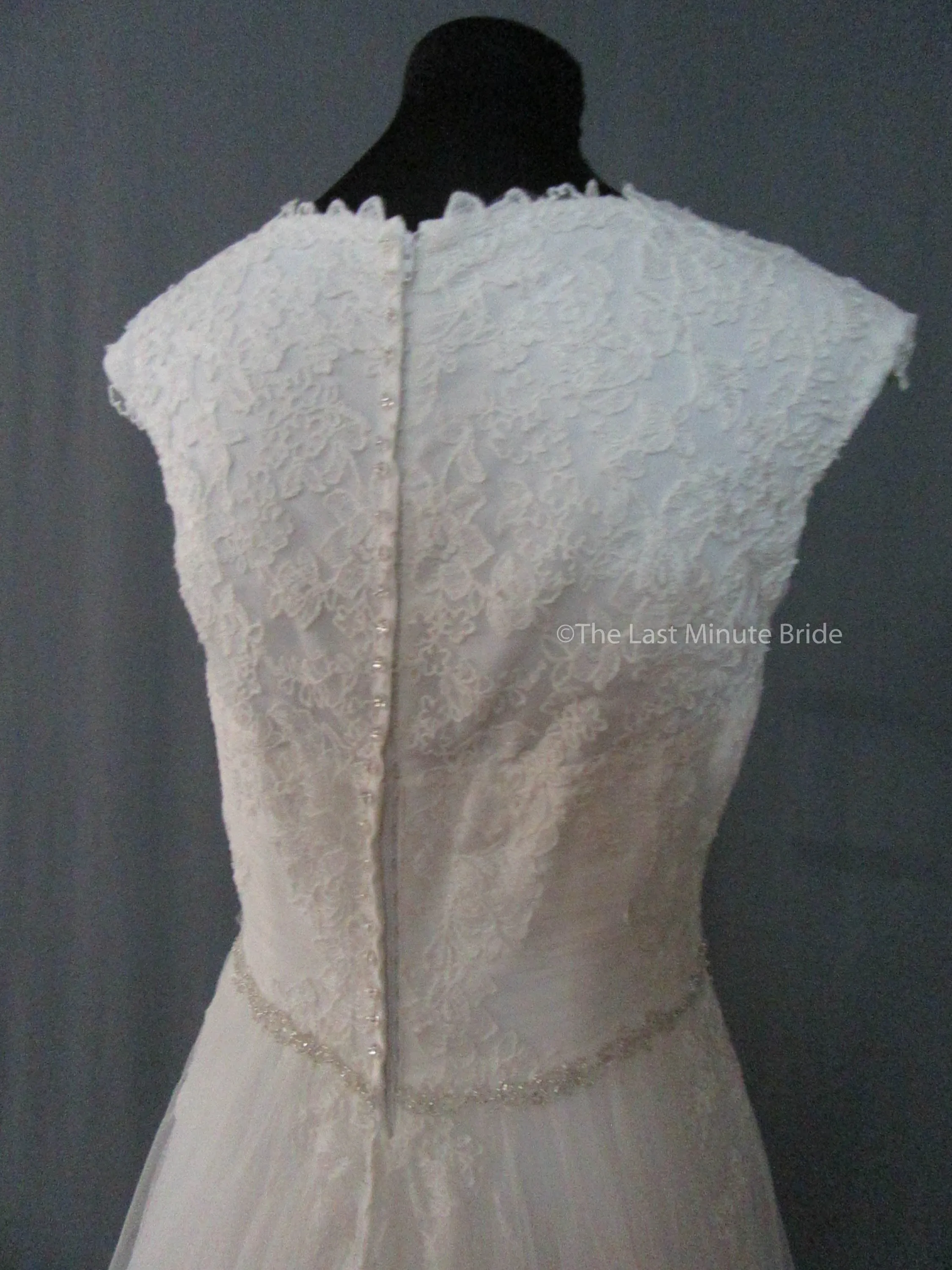 Maggie Sottero Patience Marie 5MW154MC