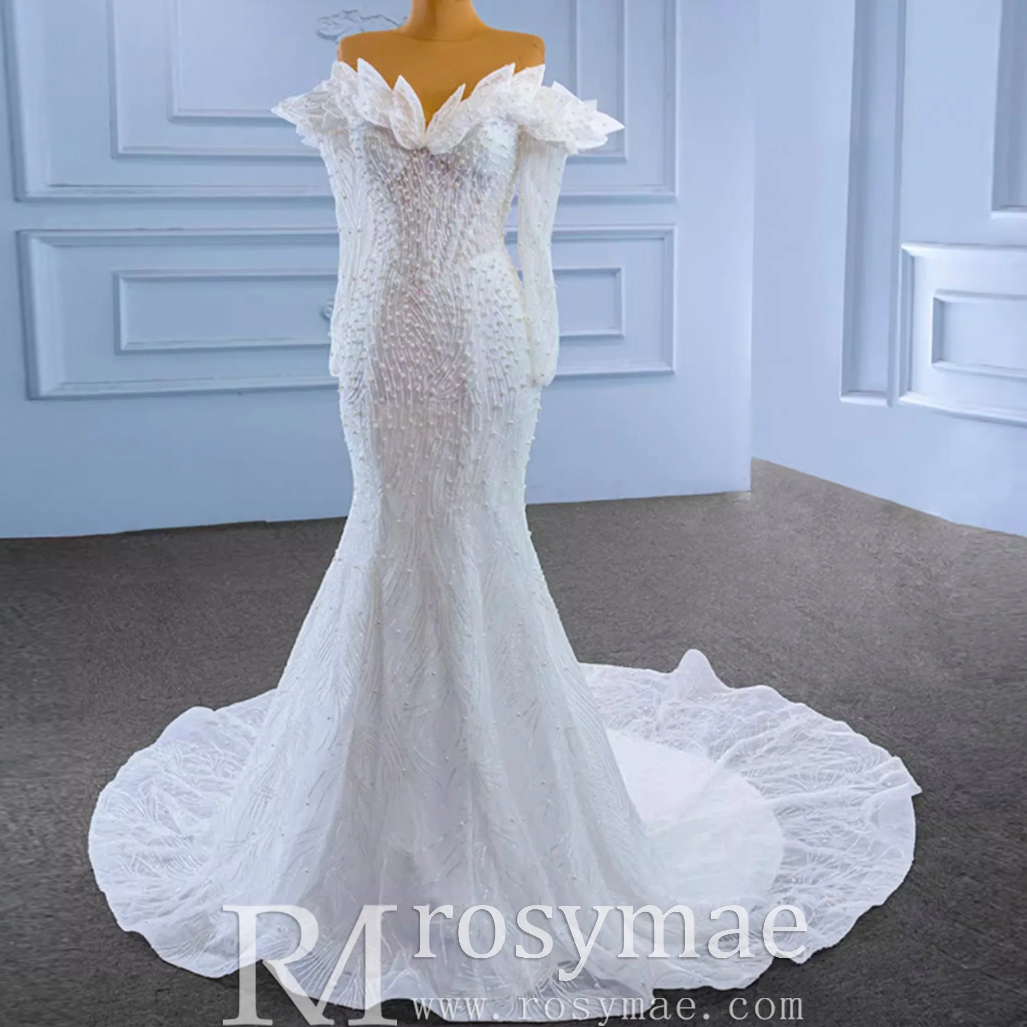 Off the Shoulder Mermaid Wedding Dress with Long Sleeves