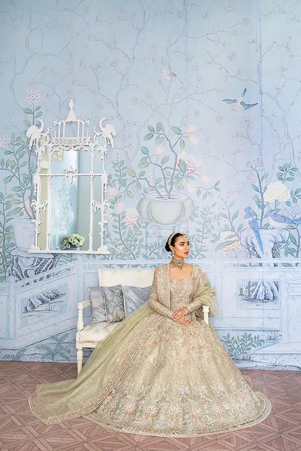 Pakistani Bridal Gown and Lehenga Dress