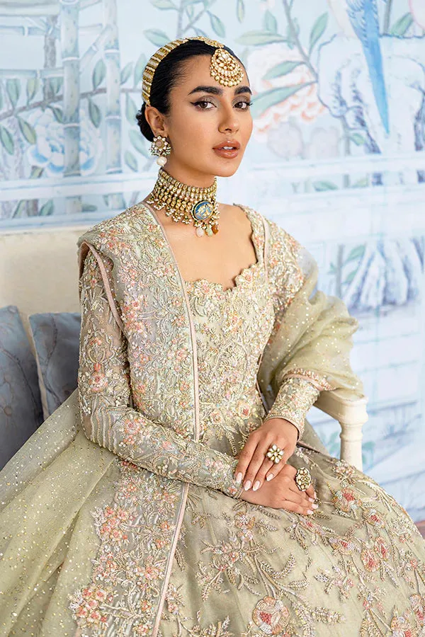 Pakistani Bridal Gown and Lehenga Dress