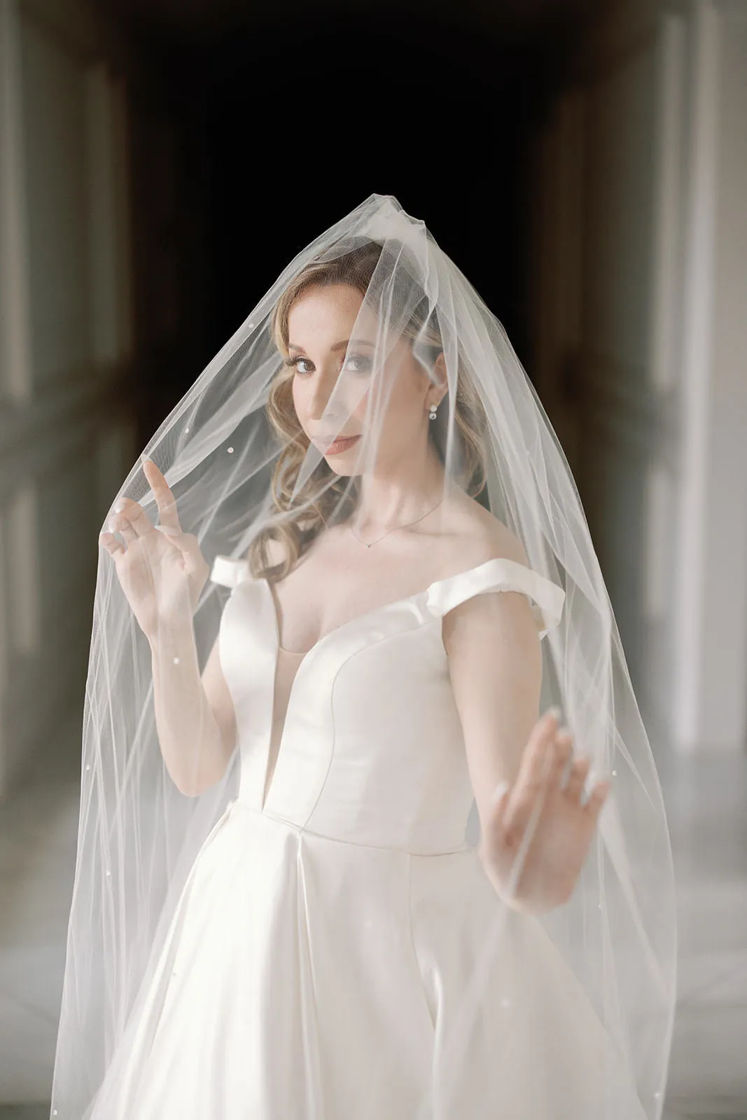 Pearl Cathedral Length Wedding Veil with Scattered Beading