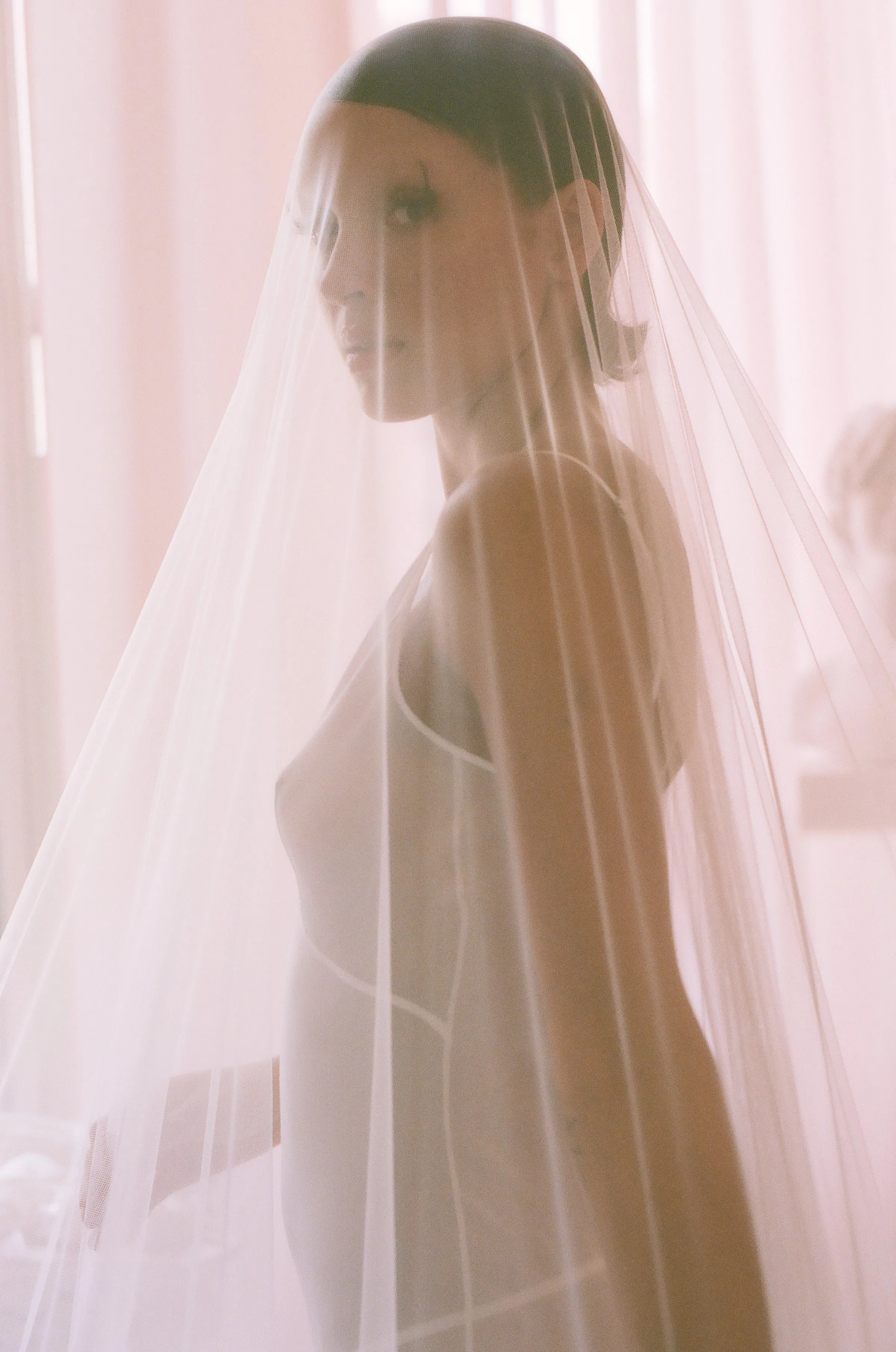 Poodle Veil
