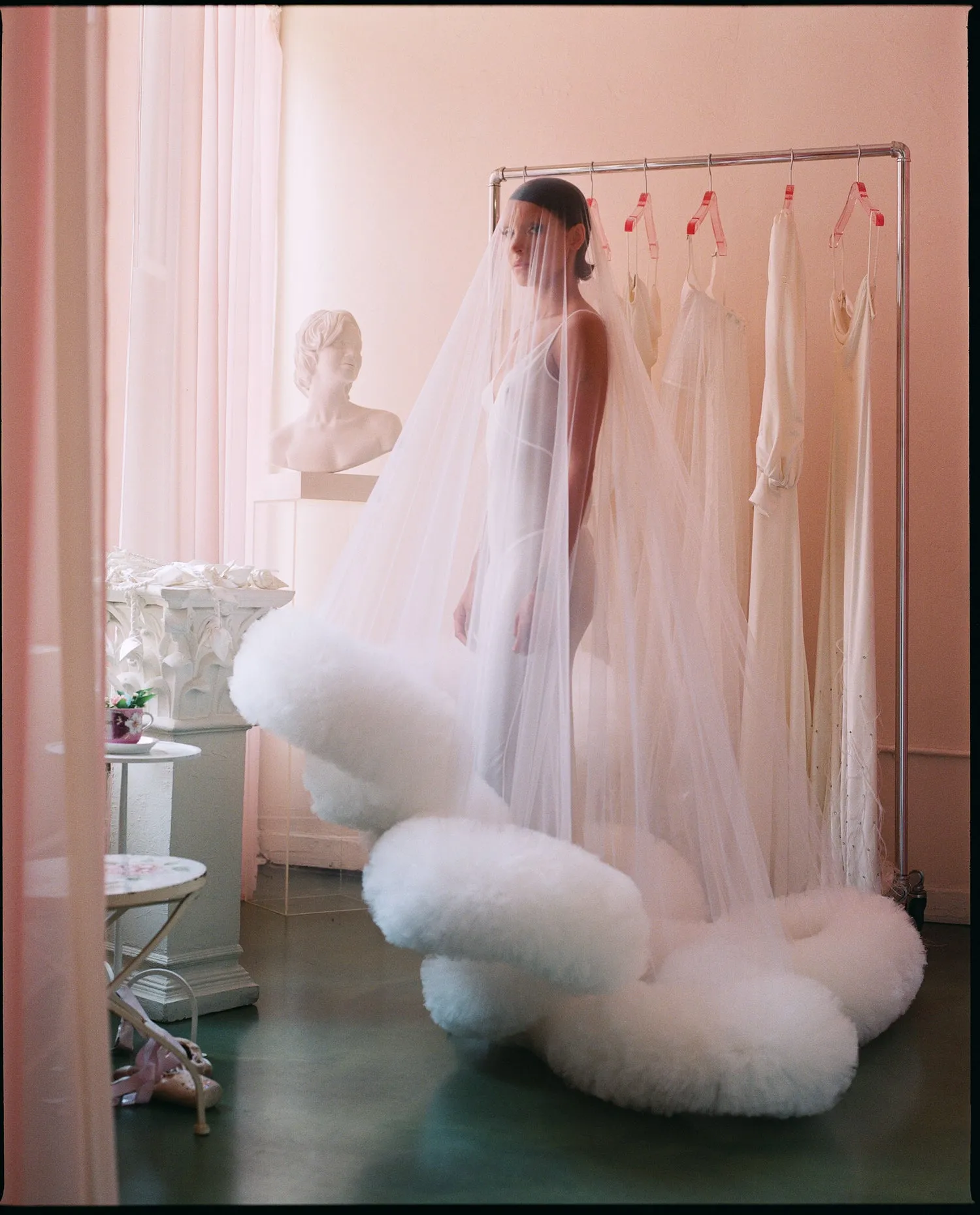 Poodle Veil
