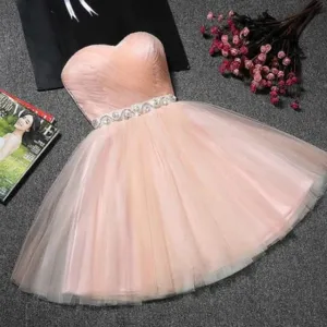 Prom Dresses Short Gowns