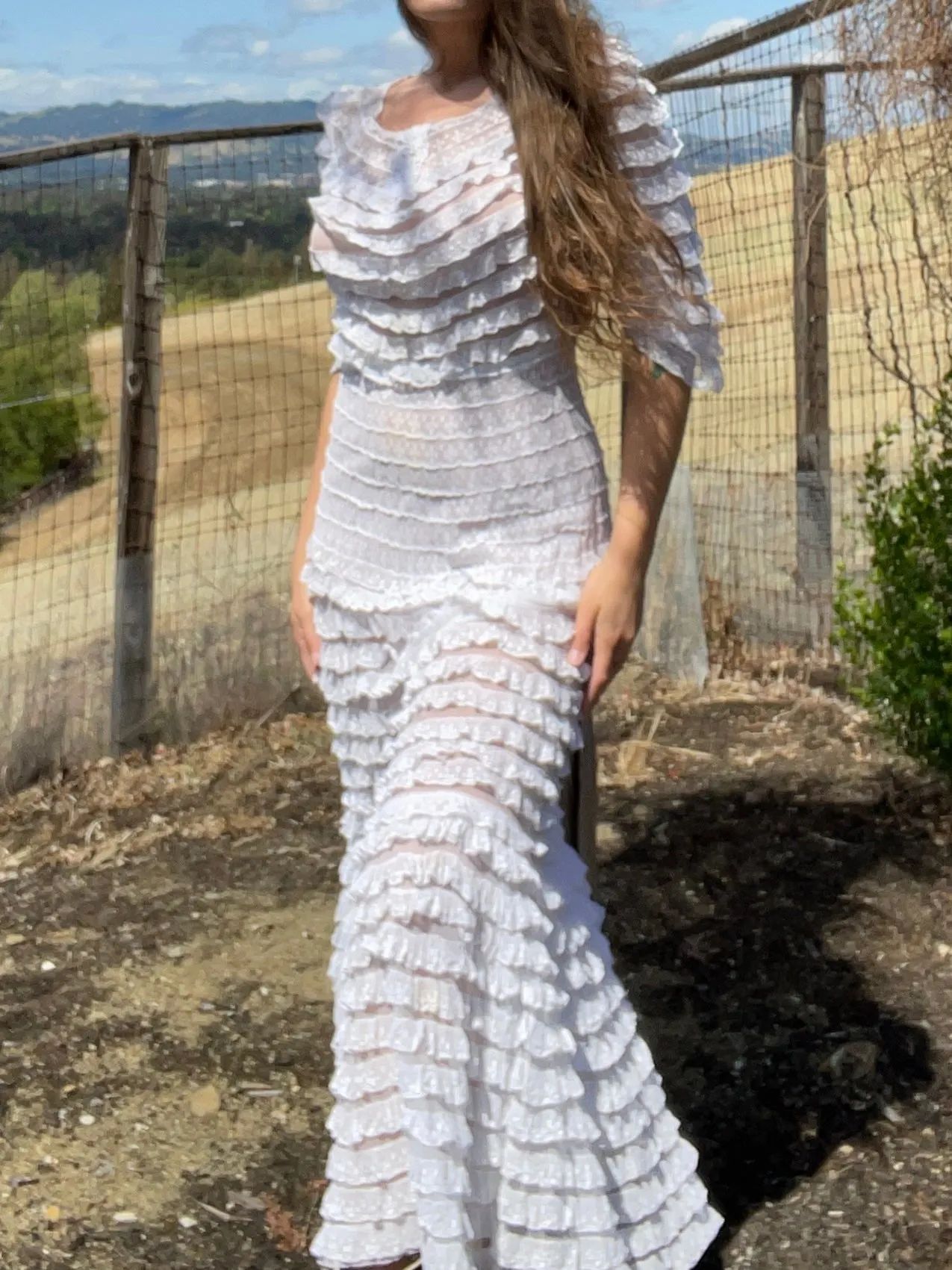 Rare Edwardian Tiered Lace Mesh Gown