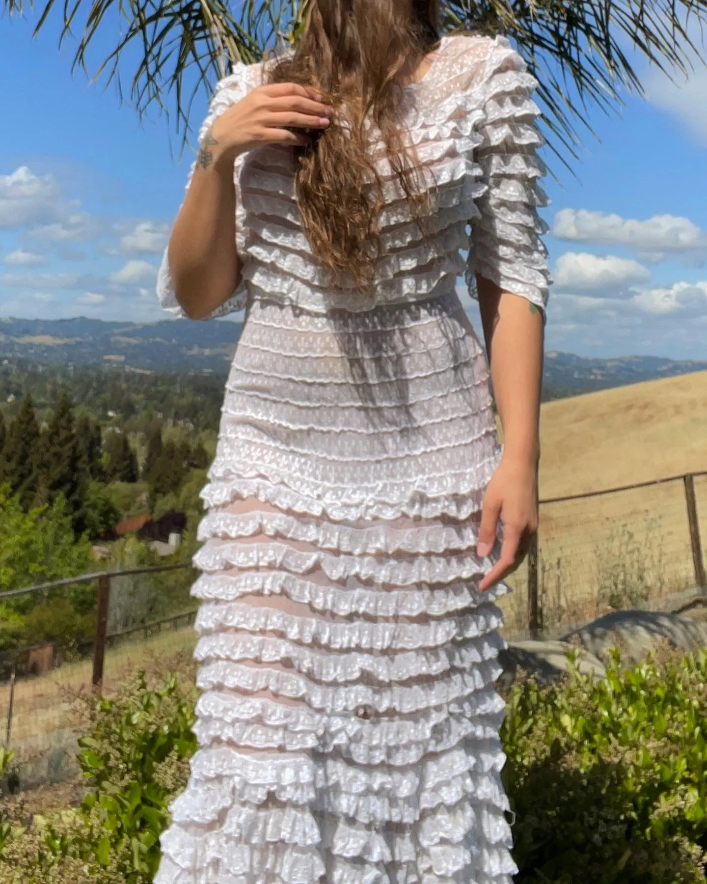 Rare Edwardian Tiered Lace Mesh Gown