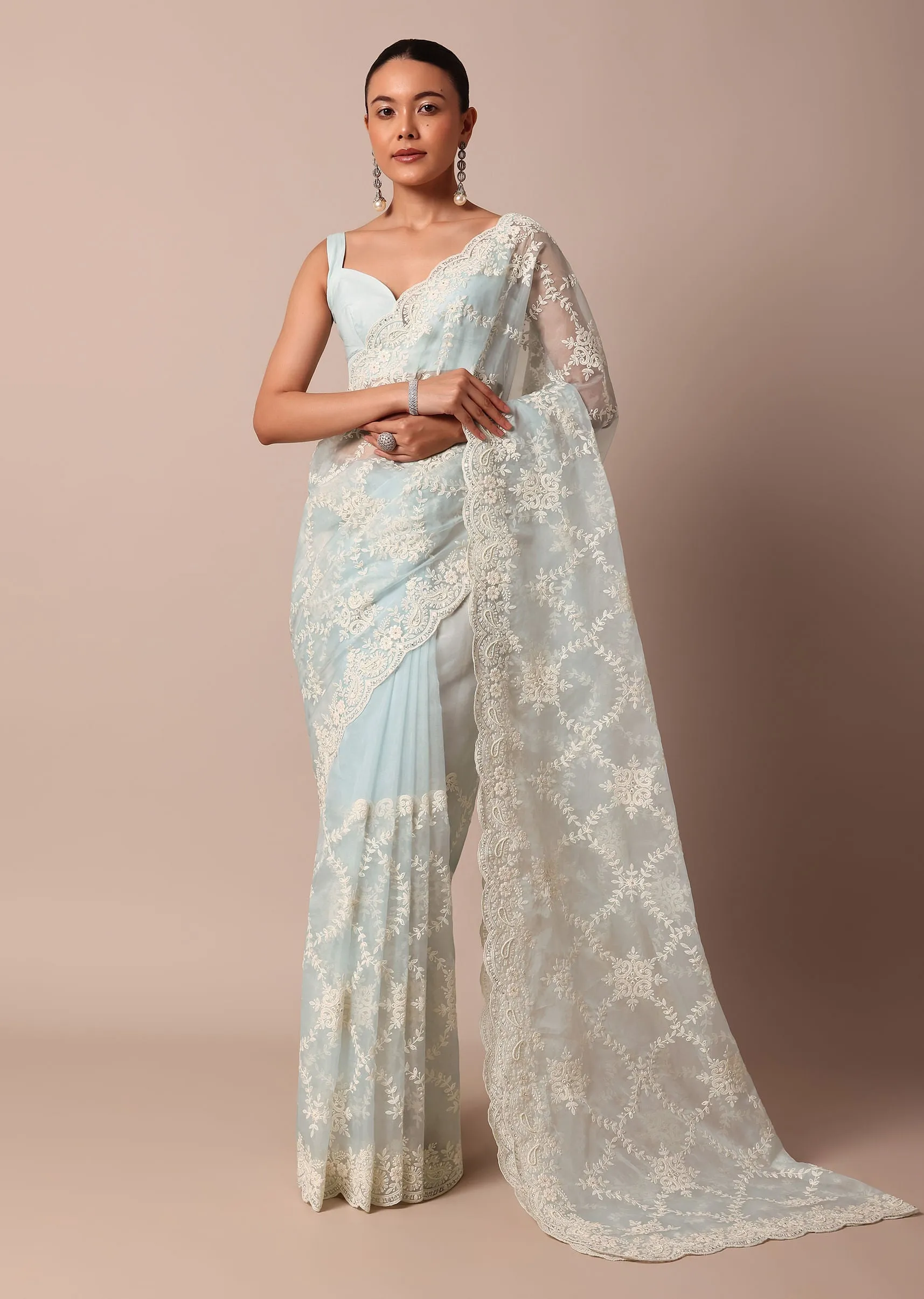 Sky Blue Chikankari Saree In Organza Silk With Floral Jaal Detail
