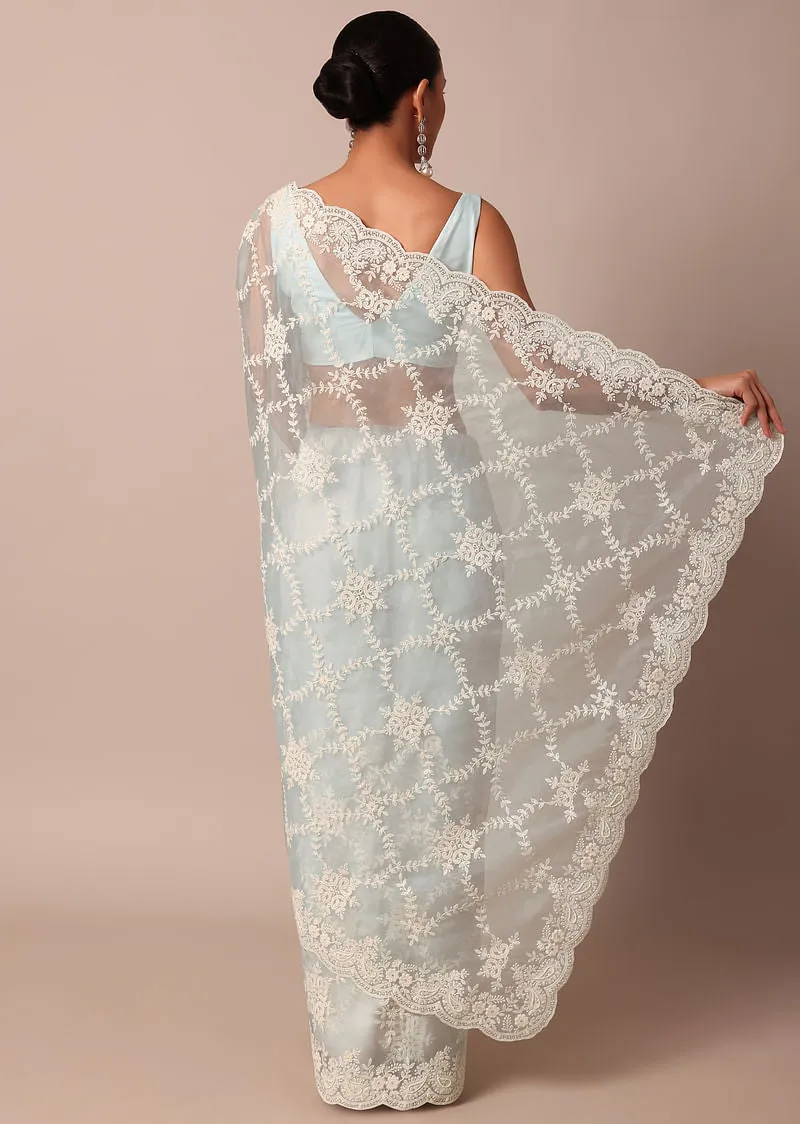 Sky Blue Chikankari Saree In Organza Silk With Floral Jaal Detail