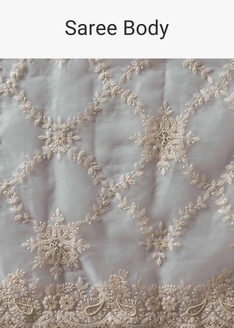 Sky Blue Chikankari Saree In Organza Silk With Floral Jaal Detail