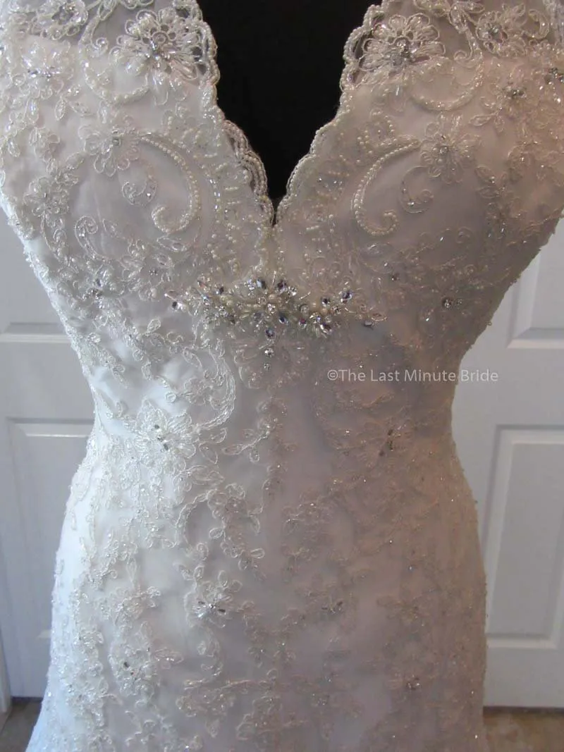 Sophia Tolli Selyse Y11413