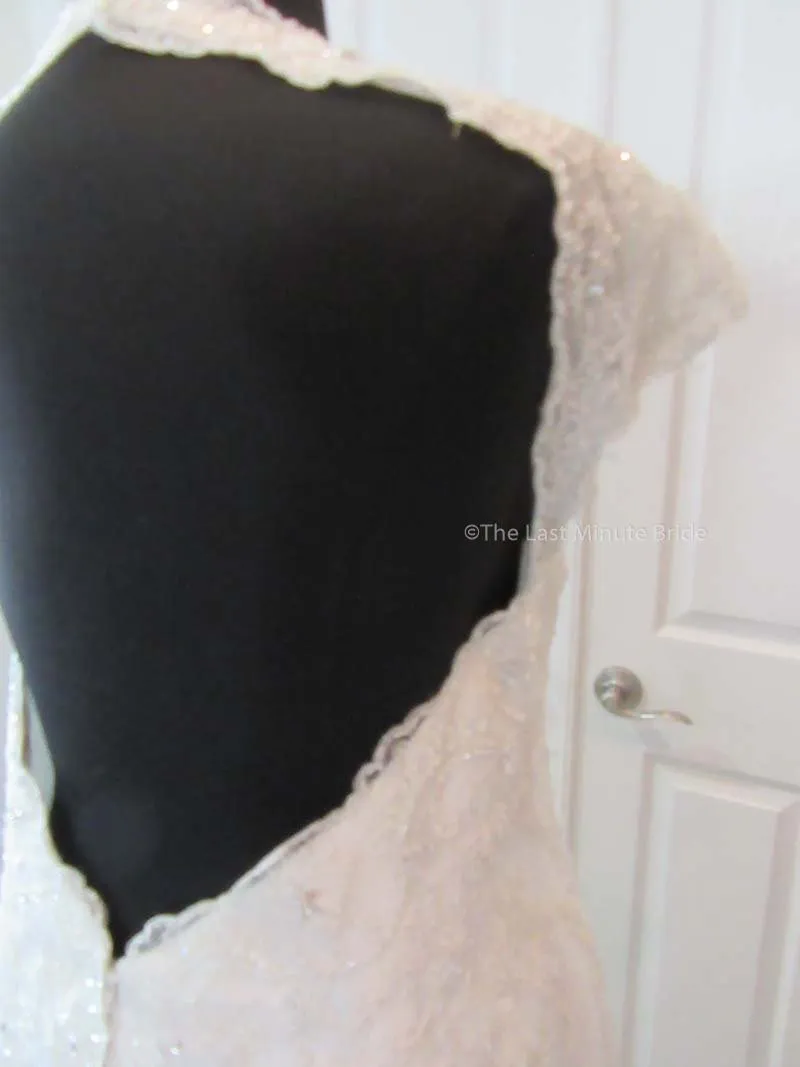 Sophia Tolli Selyse Y11413