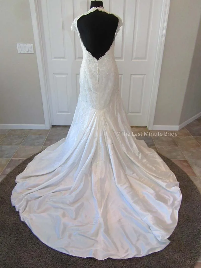Sophia Tolli Selyse Y11413
