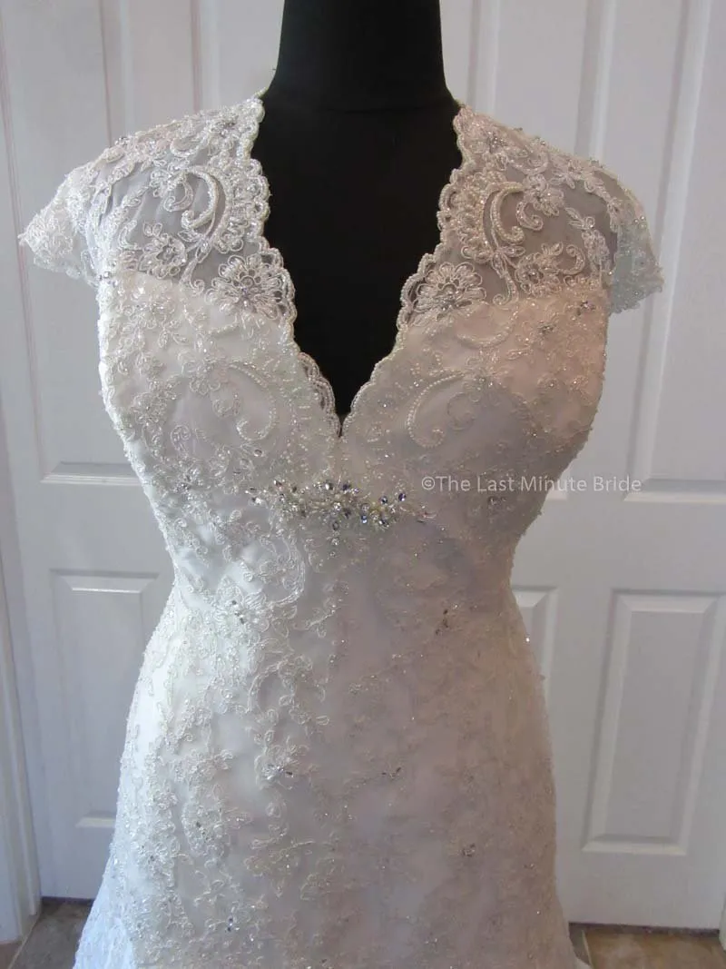 Sophia Tolli Selyse Y11413