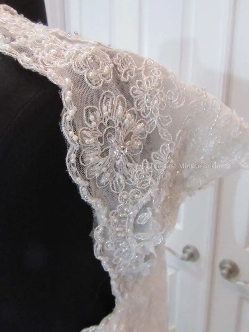 Sophia Tolli Selyse Y11413