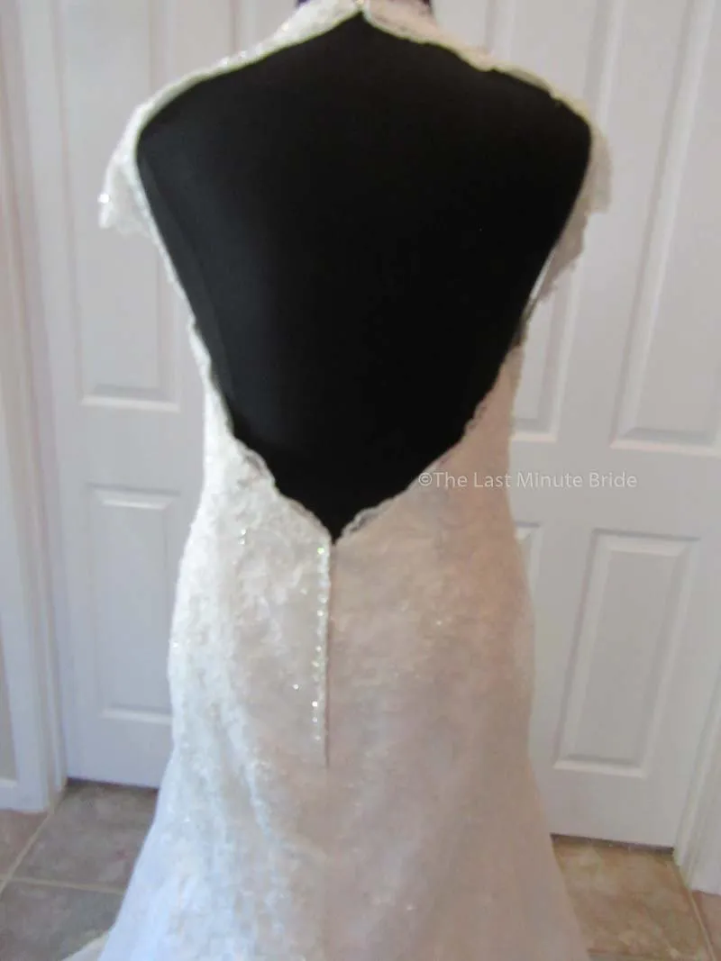 Sophia Tolli Selyse Y11413