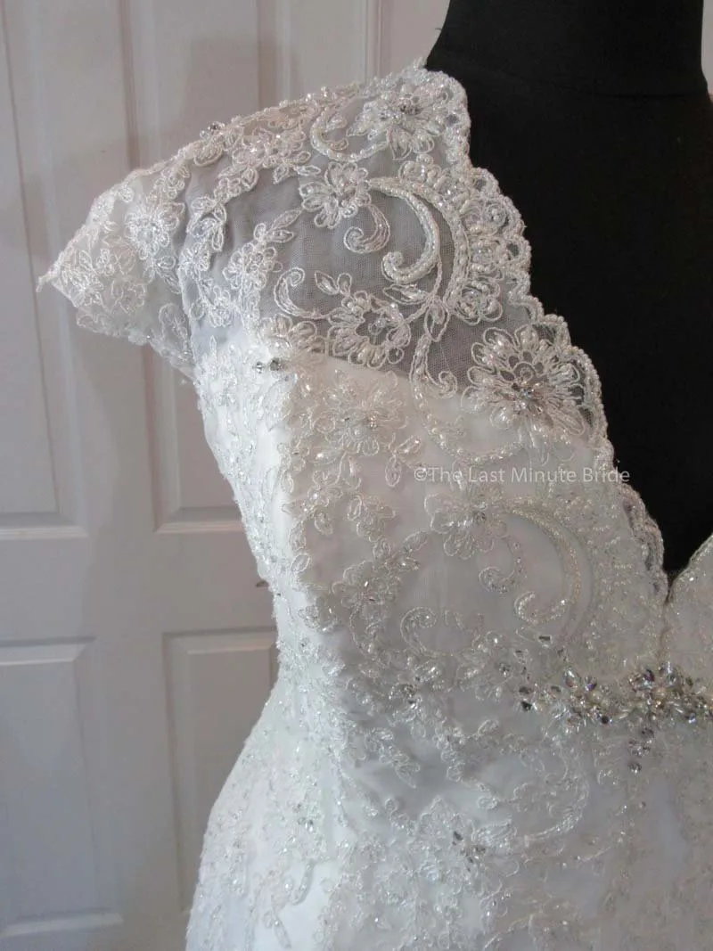 Sophia Tolli Selyse Y11413