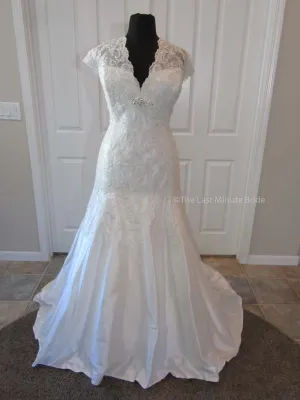 Sophia Tolli Selyse Y11413