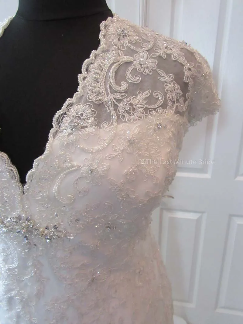 Sophia Tolli Selyse Y11413