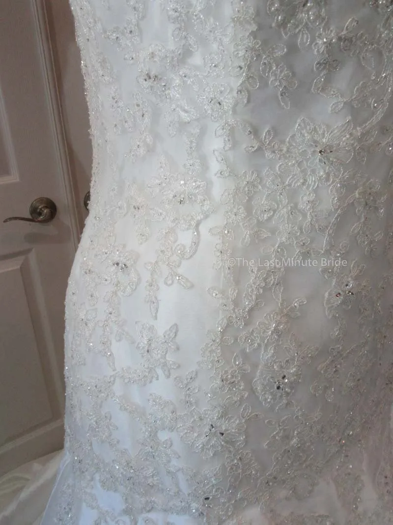 Sophia Tolli Selyse Y11413