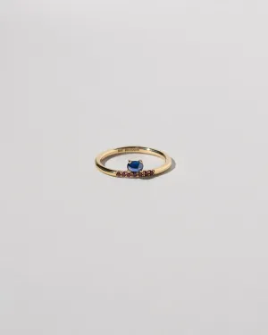 Stacked Ring - Sapphire & Ant Hill Garnet