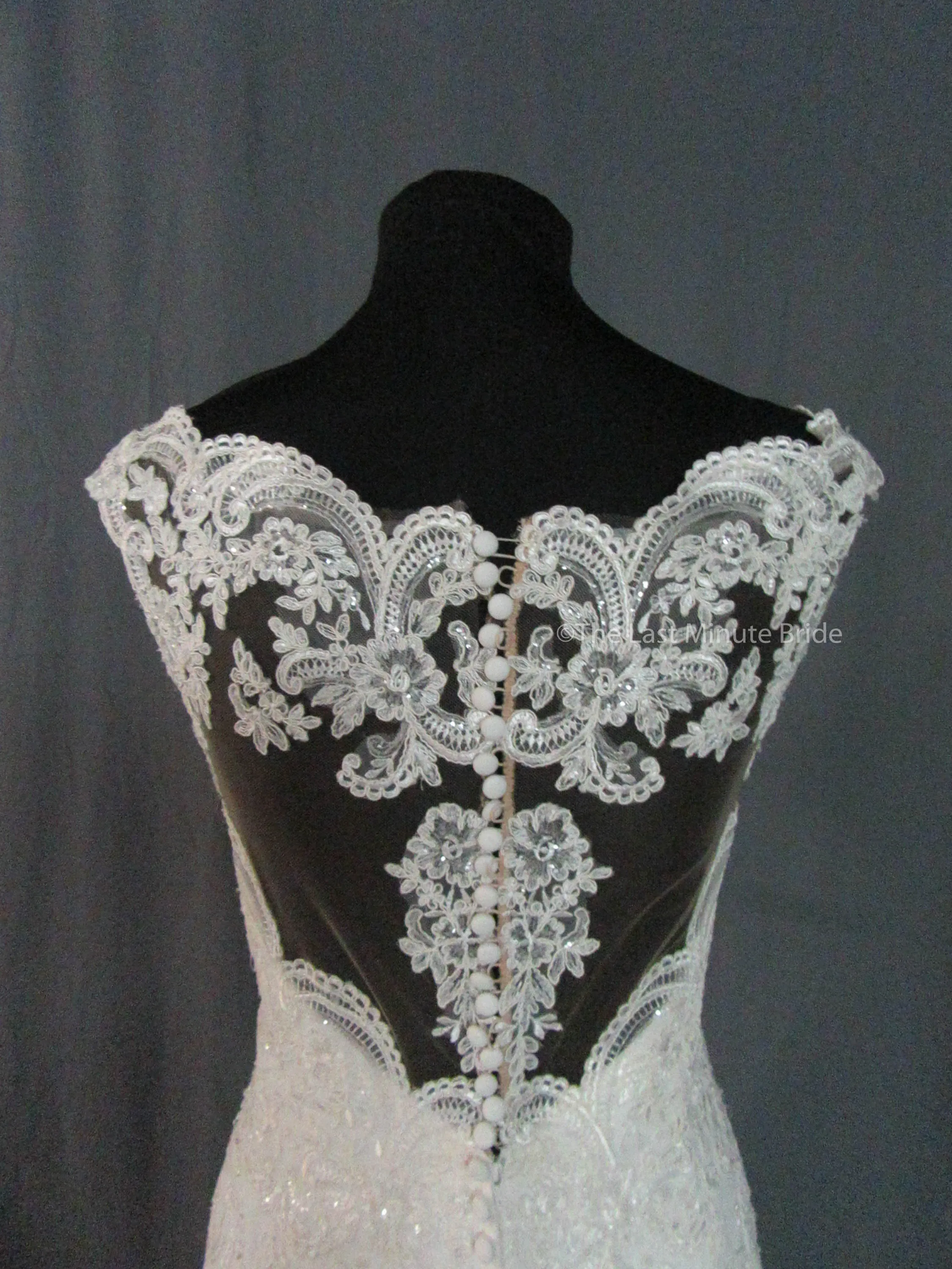 Stella York 6569