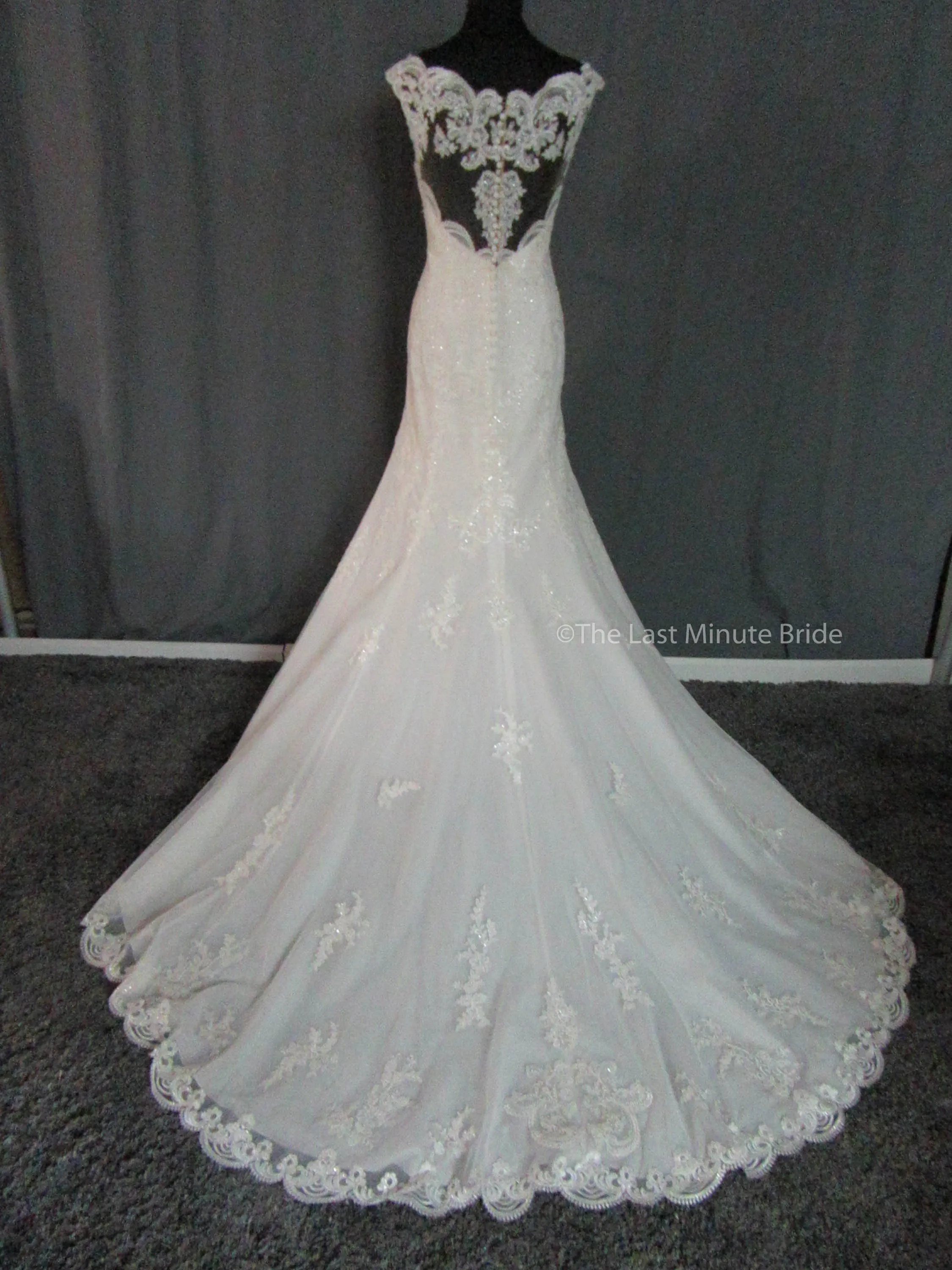Stella York 6569