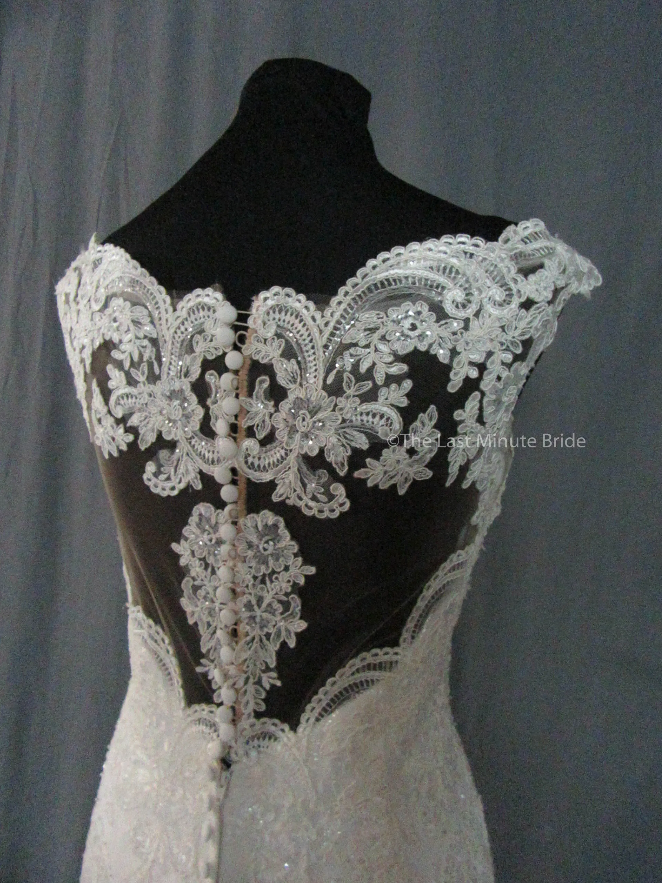 Stella York 6569