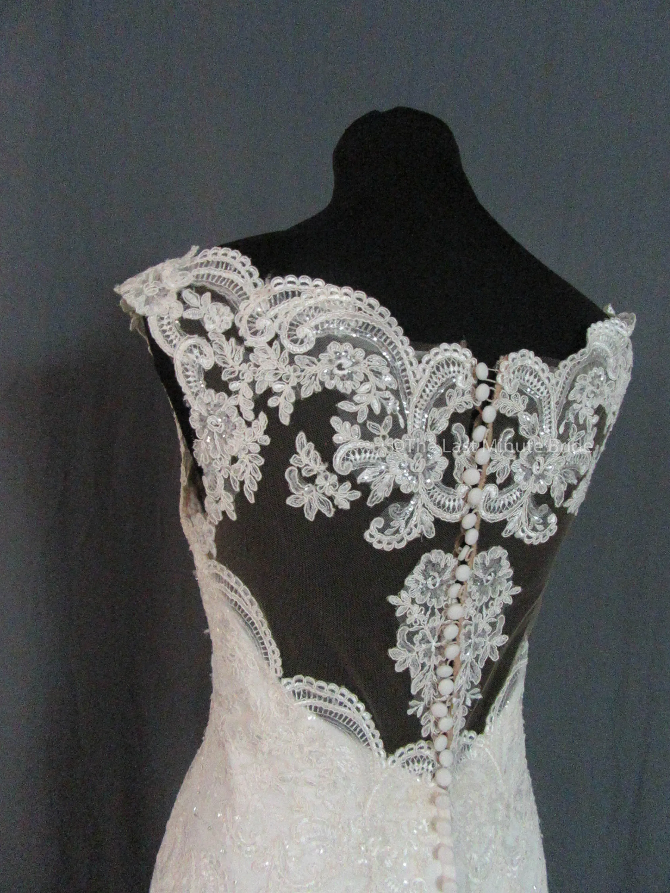 Stella York 6569