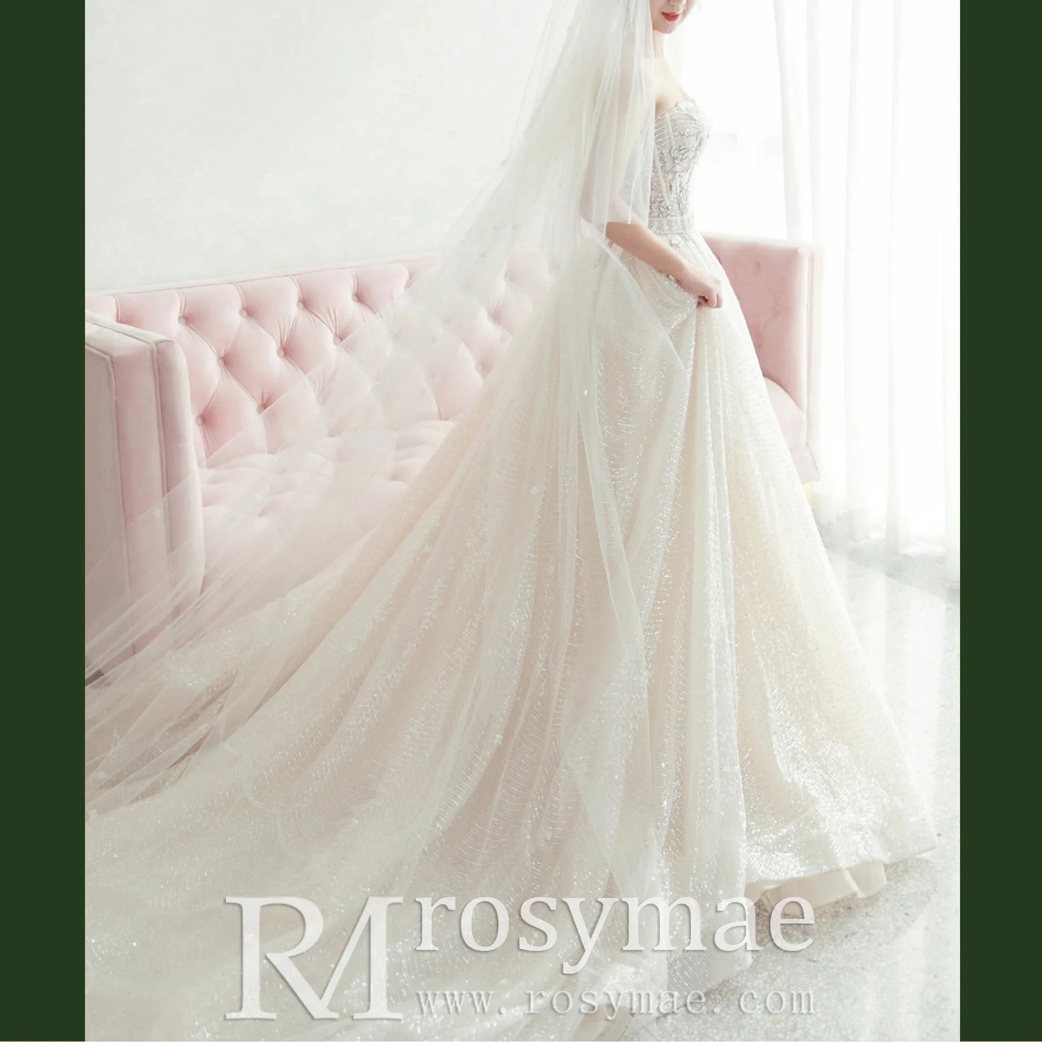 Straight Neck Ballgown Sparkly Wedding Dress with Plunging