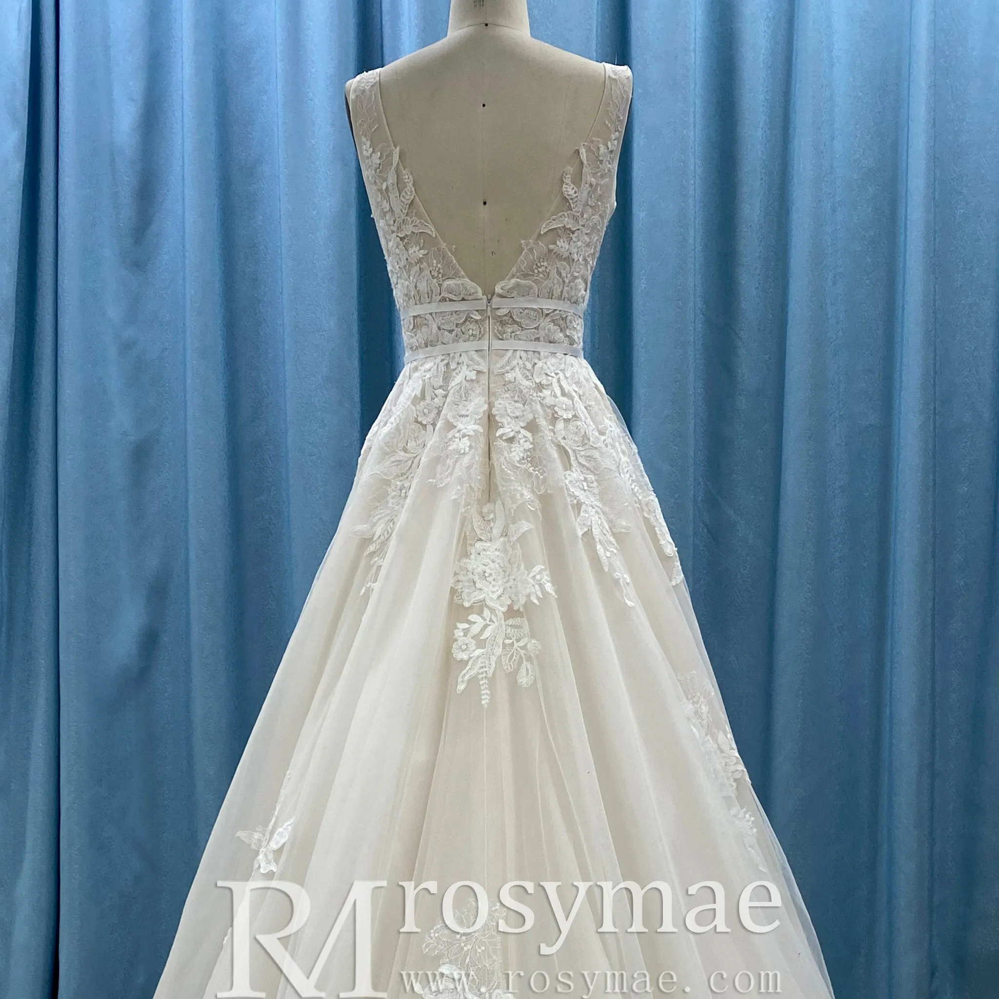 Trendy A-line Tulle Lace Vneck Wedding Dresses with Tank Top